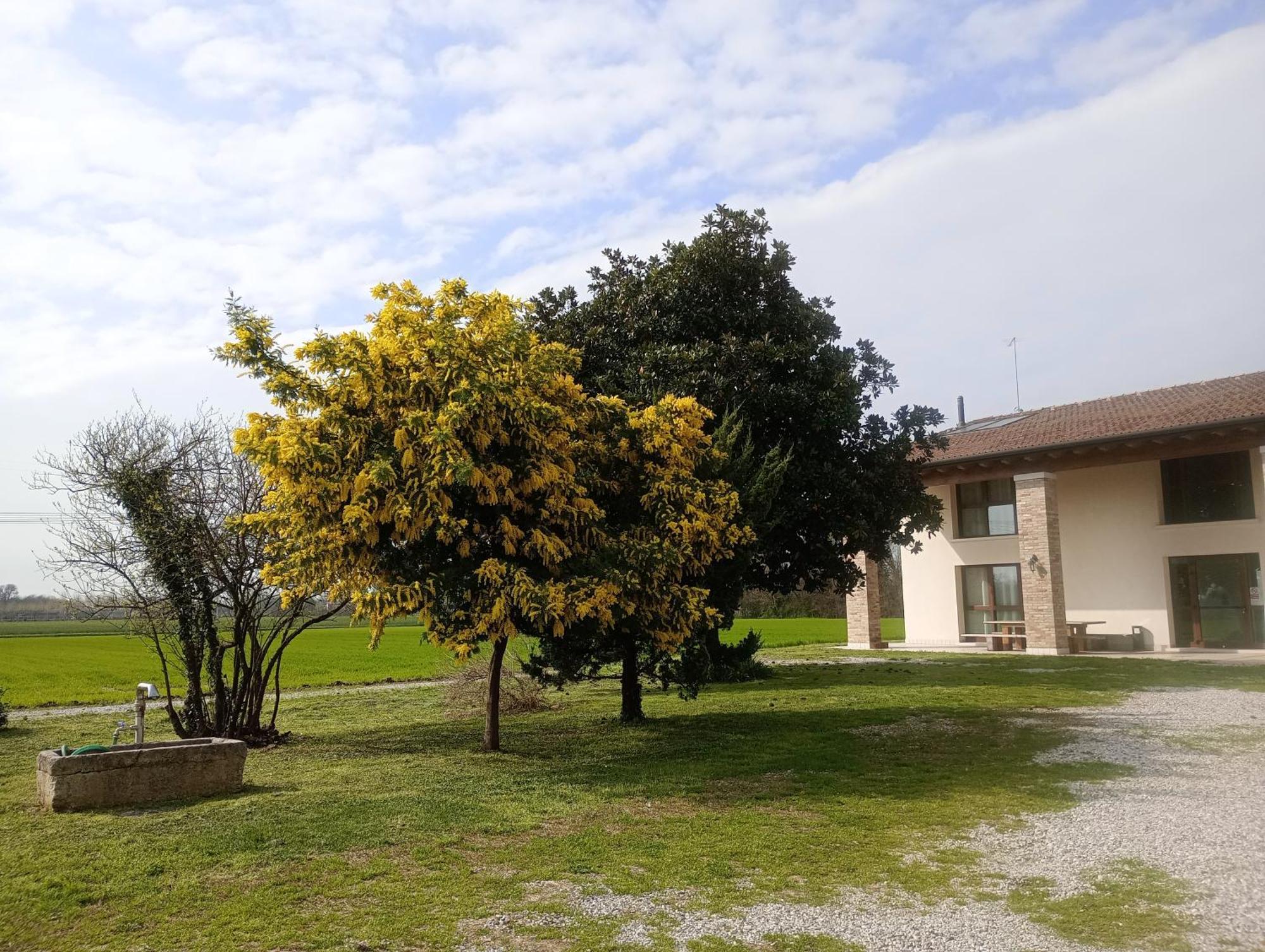 קסאלה סול סילה Agriturismo Trabucco מראה חיצוני תמונה