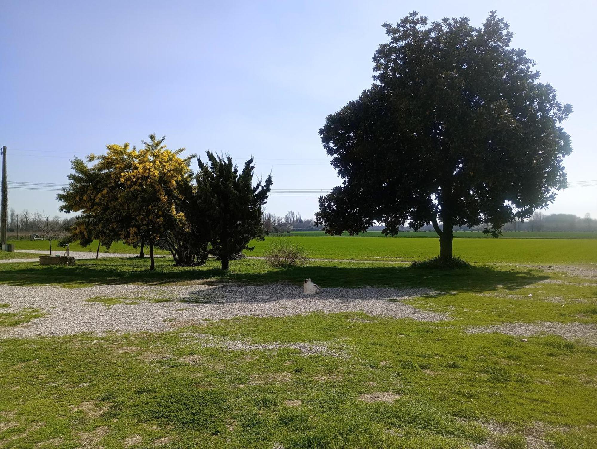 קסאלה סול סילה Agriturismo Trabucco מראה חיצוני תמונה